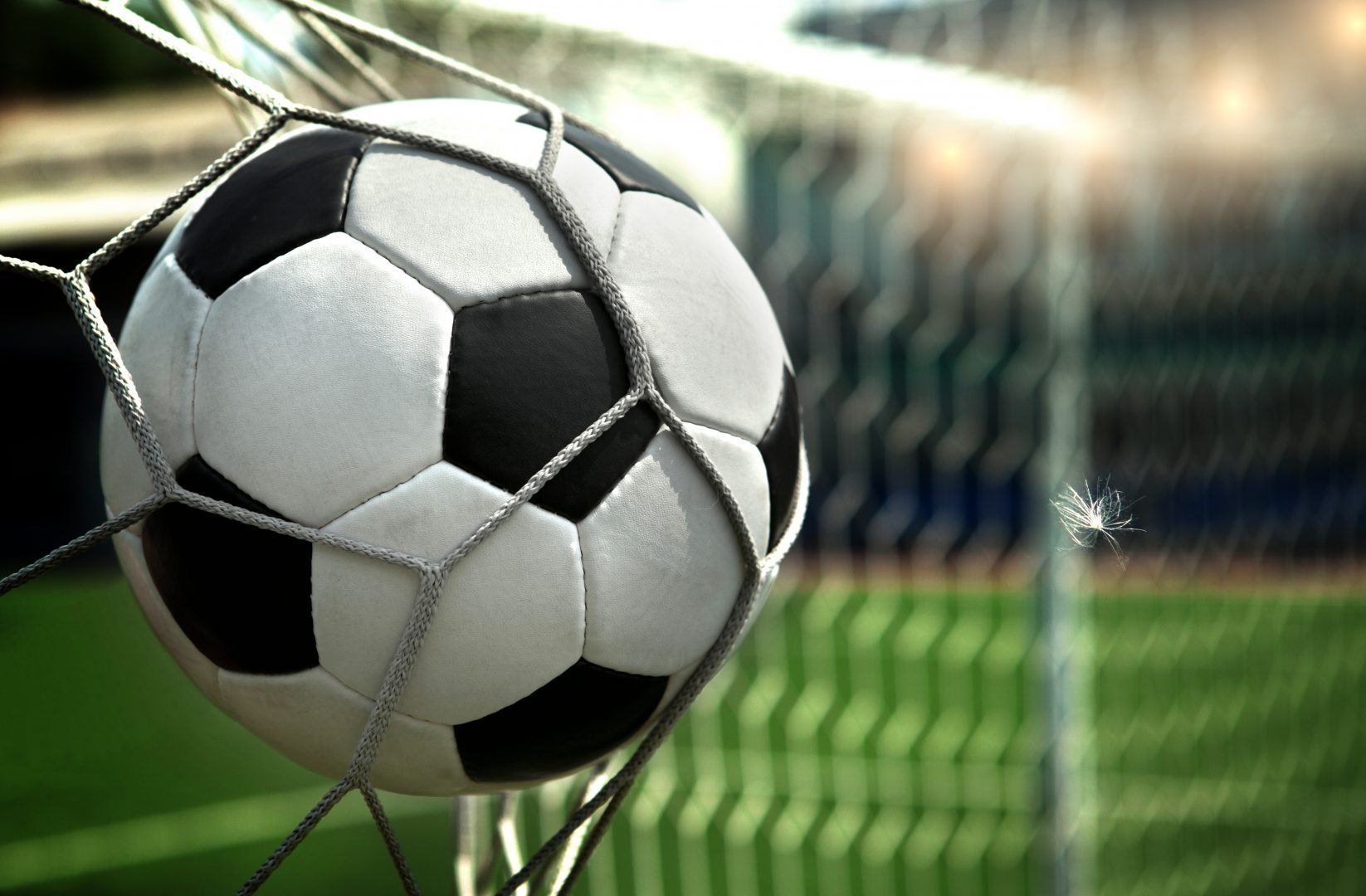 Goal! Tips for Successful Business Goals