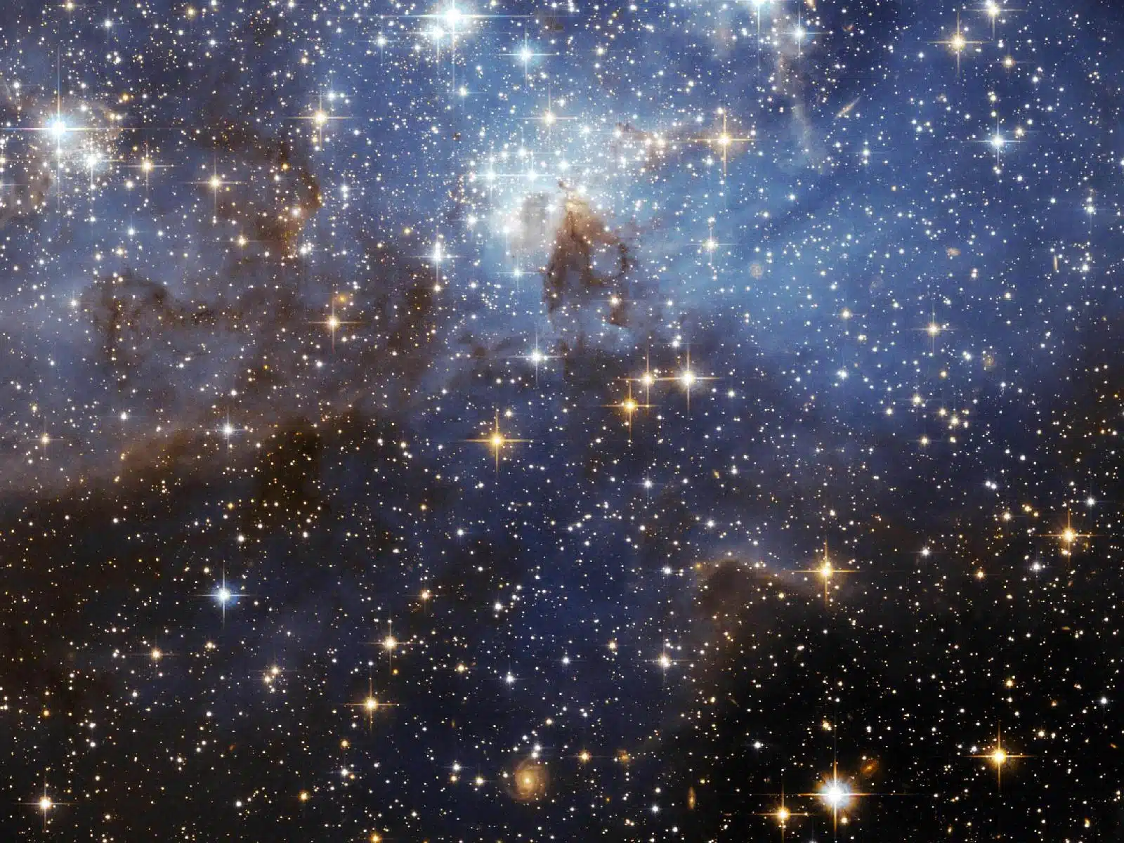 iPhone Pic of the Stars