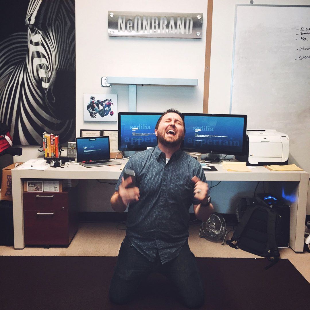 WordPress Developer