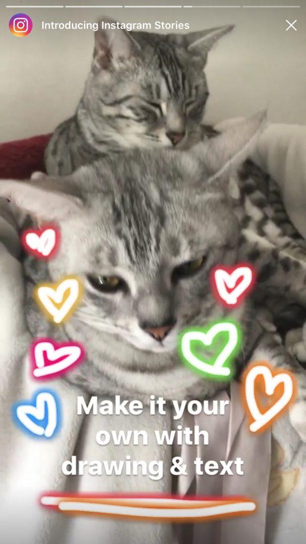Demo Instagram Stories