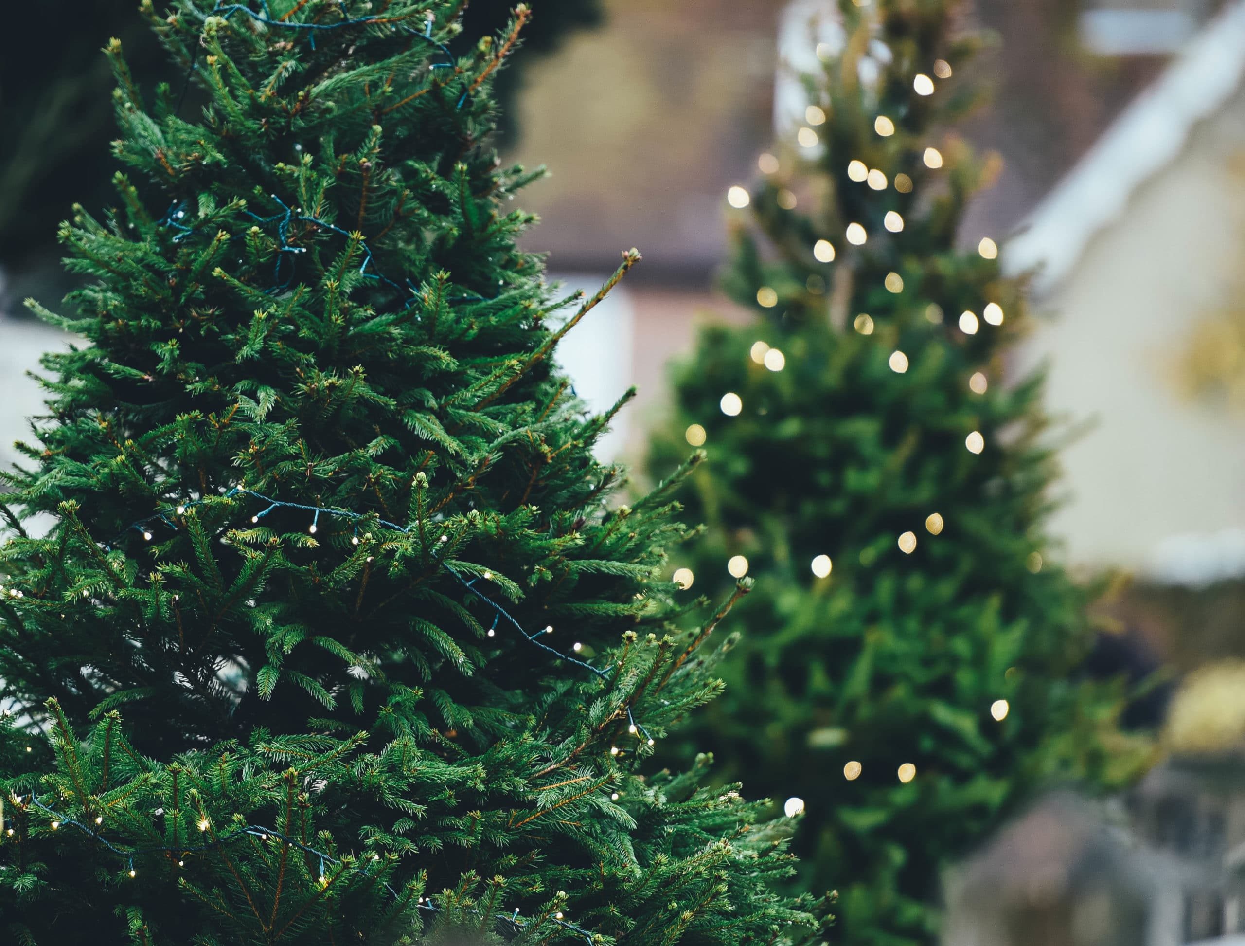 Successful Holiday Social Media Campaigns