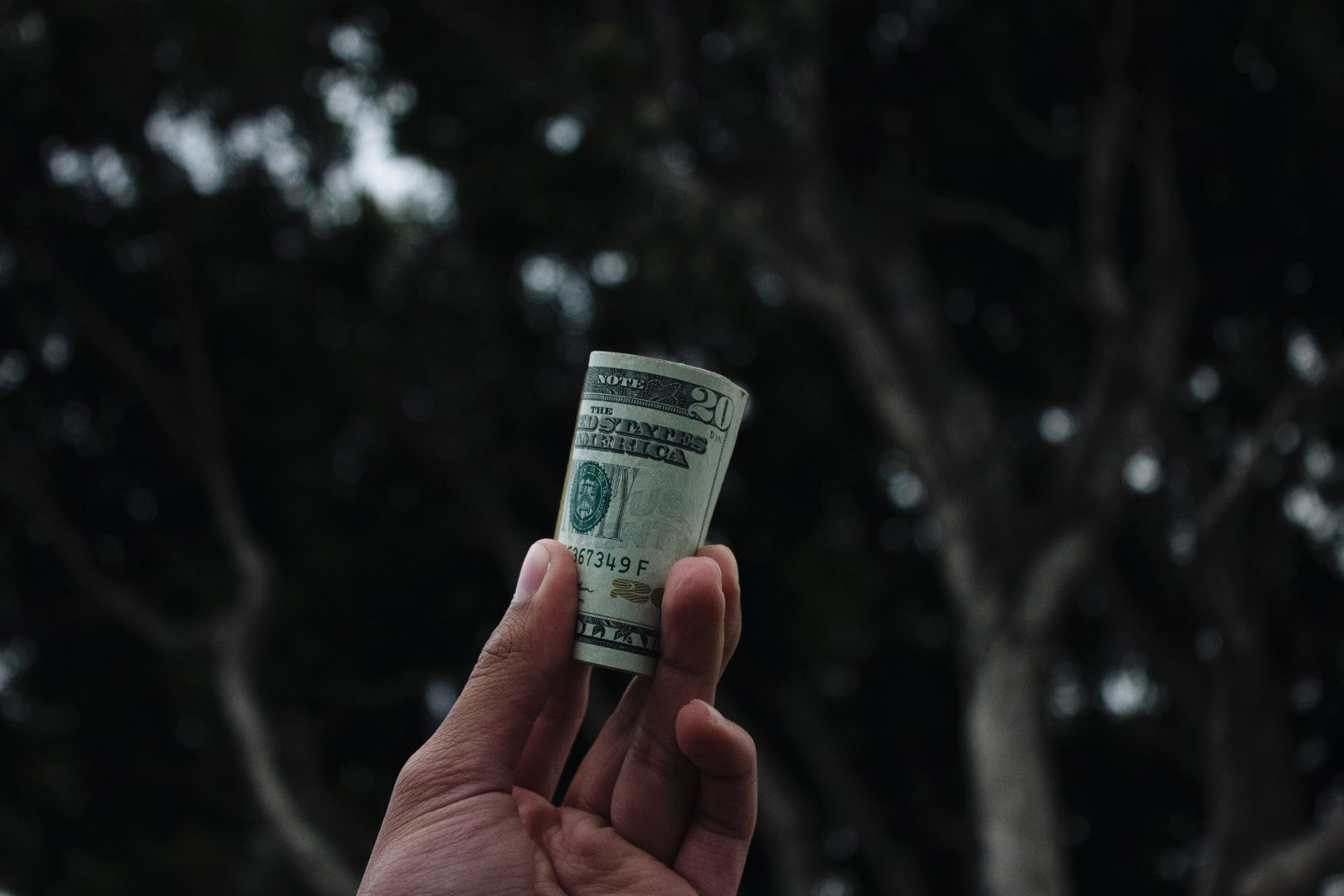Roll of Money