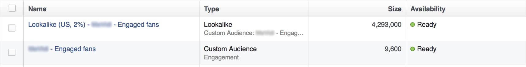 engagers and lookalike audiences