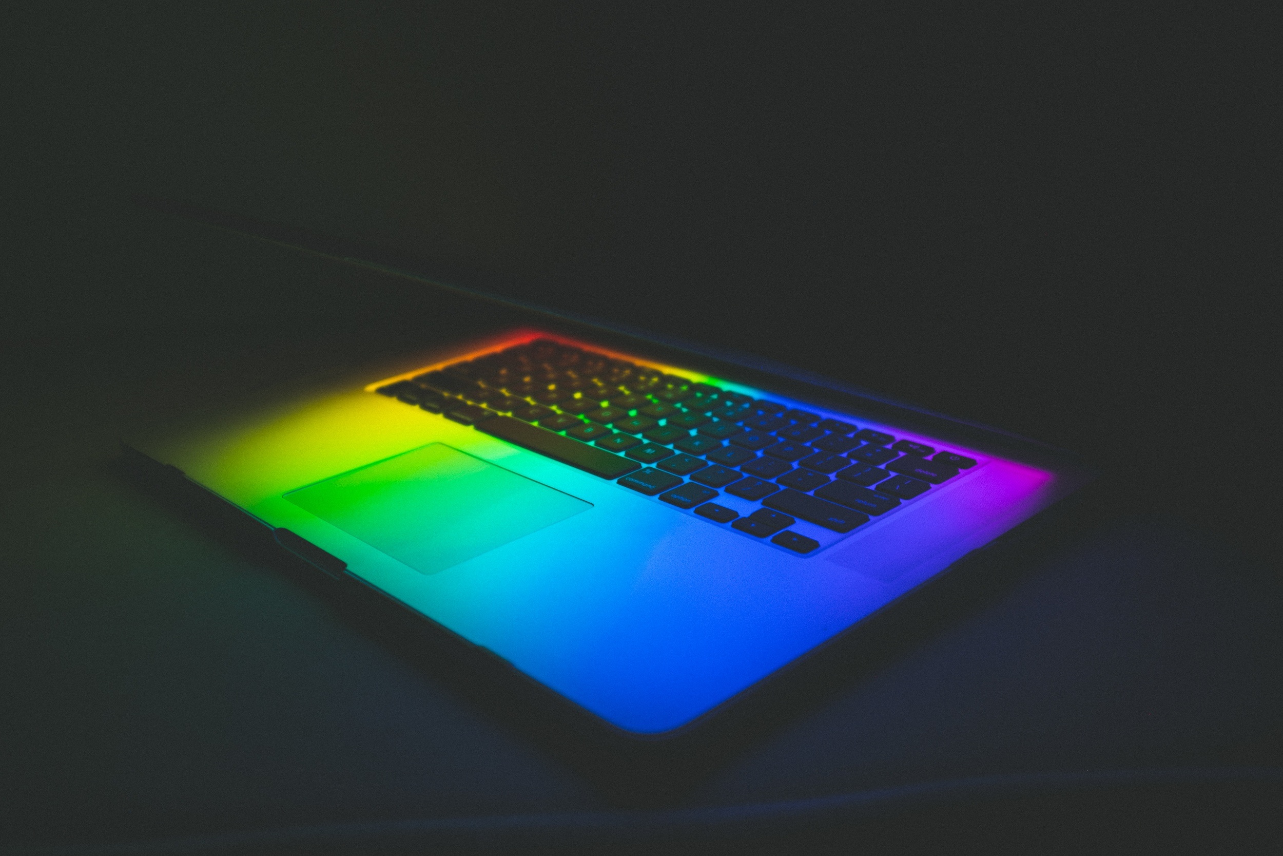 Your developer is a professional, and you both have expectations for the business relationship